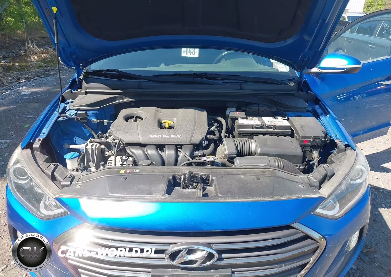 2017 Hyundai Elantra Limited VIN:5NPD84LF9HH120301 - 10