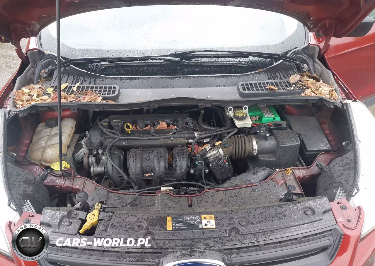 2014 Ford Escape S VIN:1FMCU0F77EUA90975 - 10
