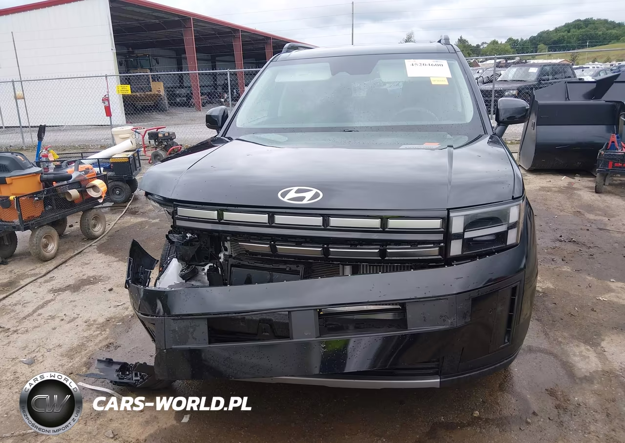 2024 Hyundai Santa Fe Sel VIN:5NMP2DGL5RH008236 - 12