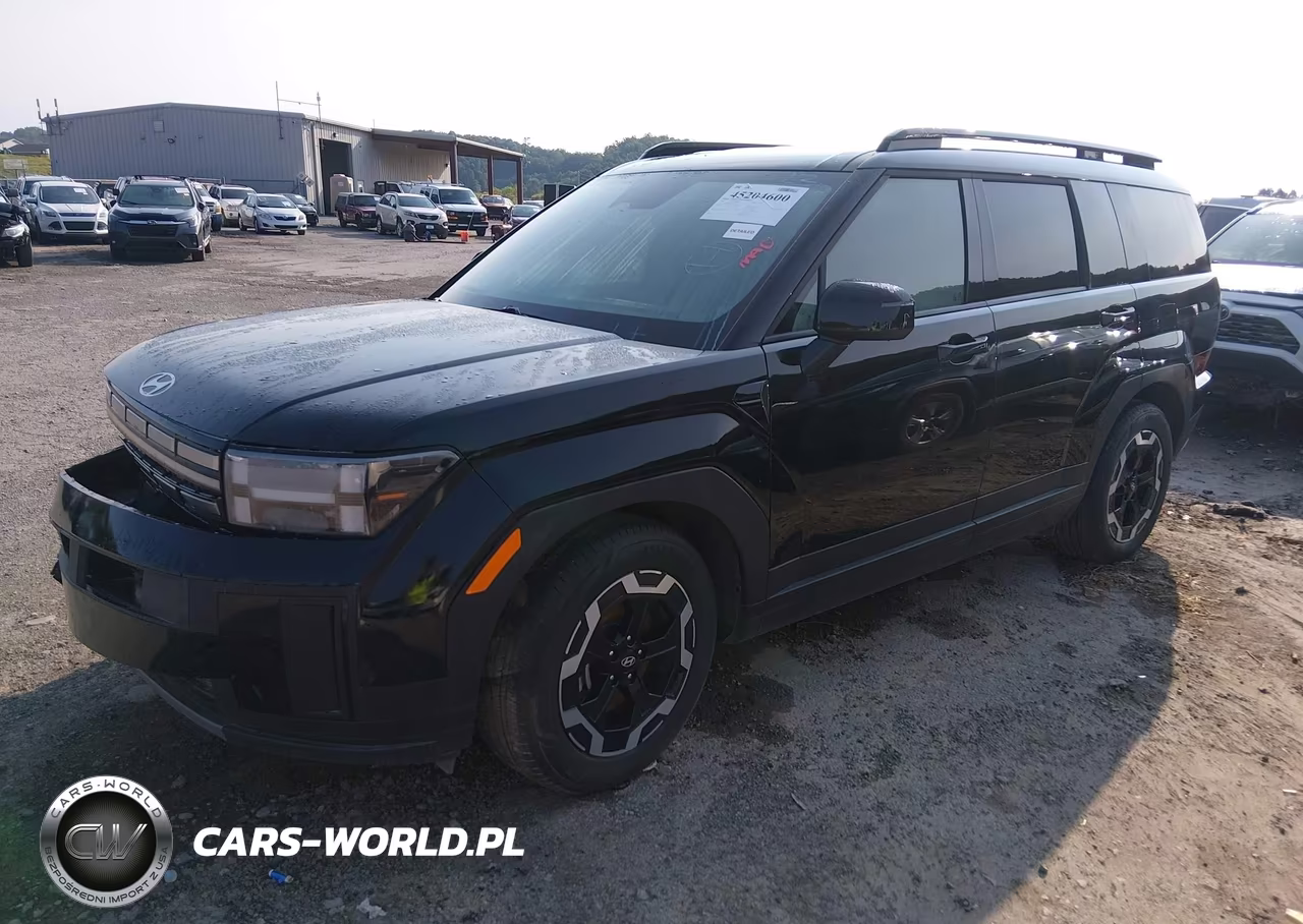 2024 Hyundai Santa Fe Sel VIN:5NMP2DGL5RH008236 - 2