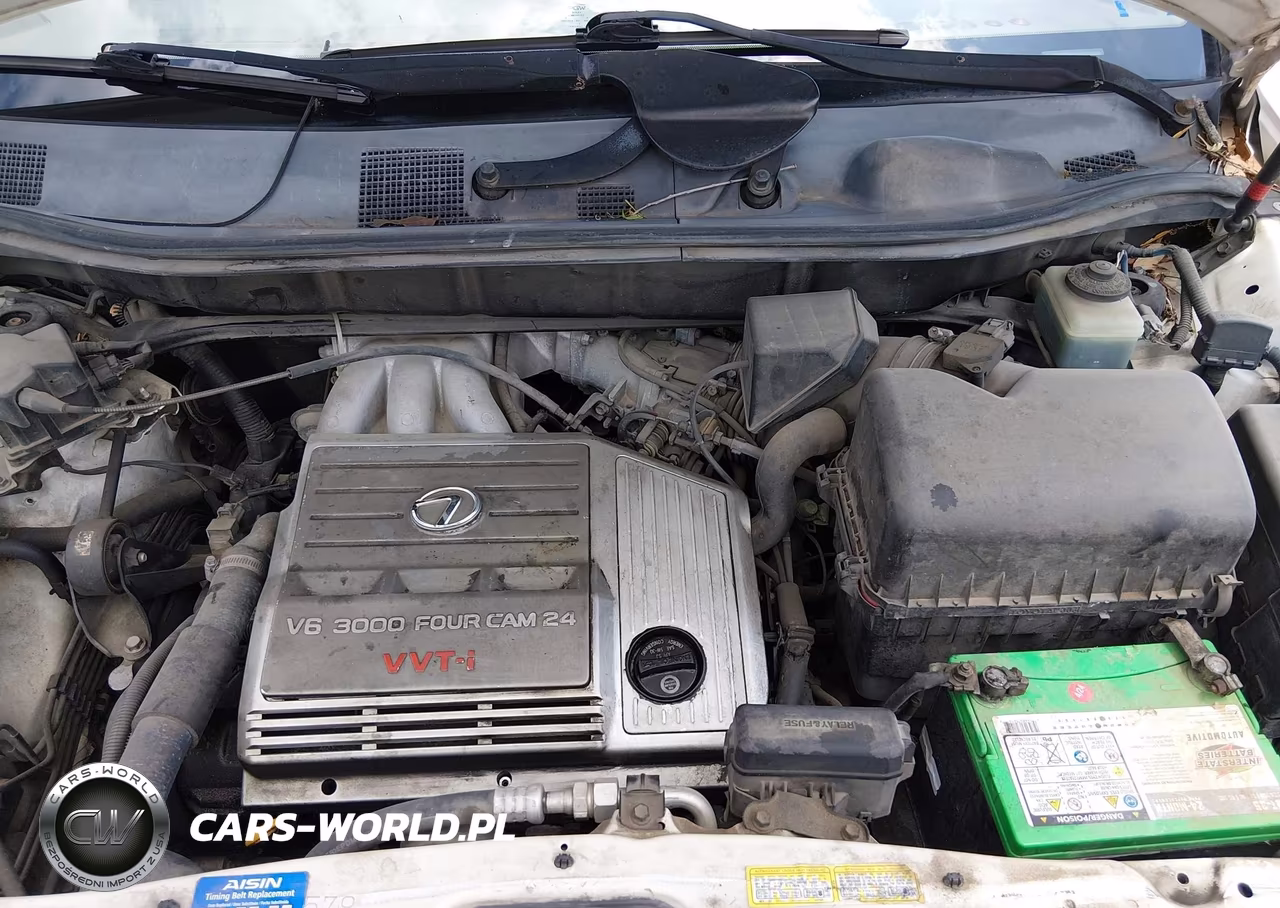 2000 Lexus Rx 300 VIN:JT6HF10U8Y0152802 - 10