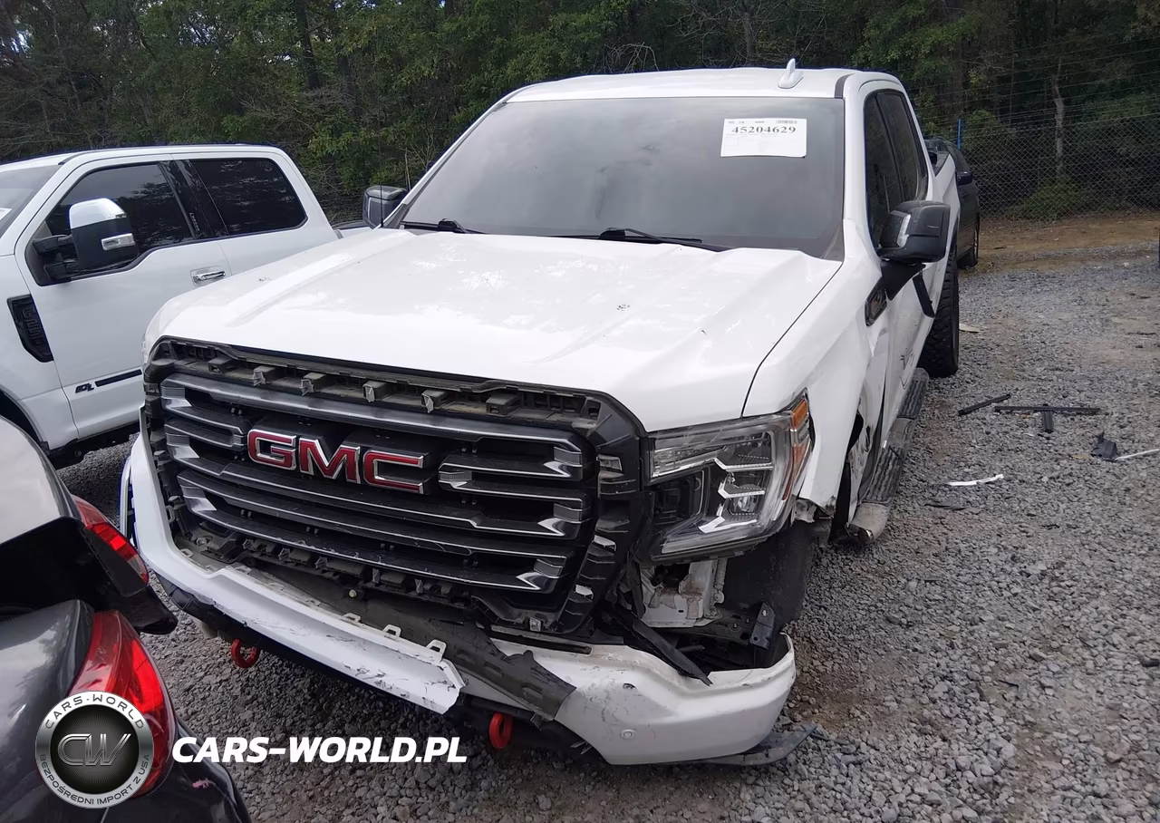 2020 GMC Sierra 1500 4Wd Short Box At4 VIN:3GTP9EELXLG343550 - 13