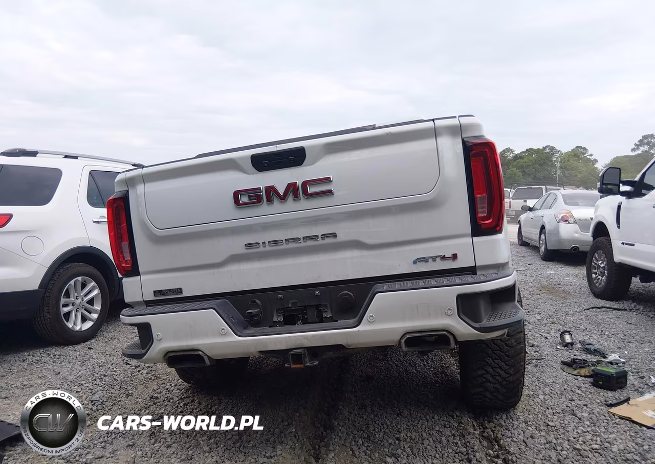 2020 GMC Sierra 1500 4Wd Short Box At4 VIN:3GTP9EELXLG343550 - 17