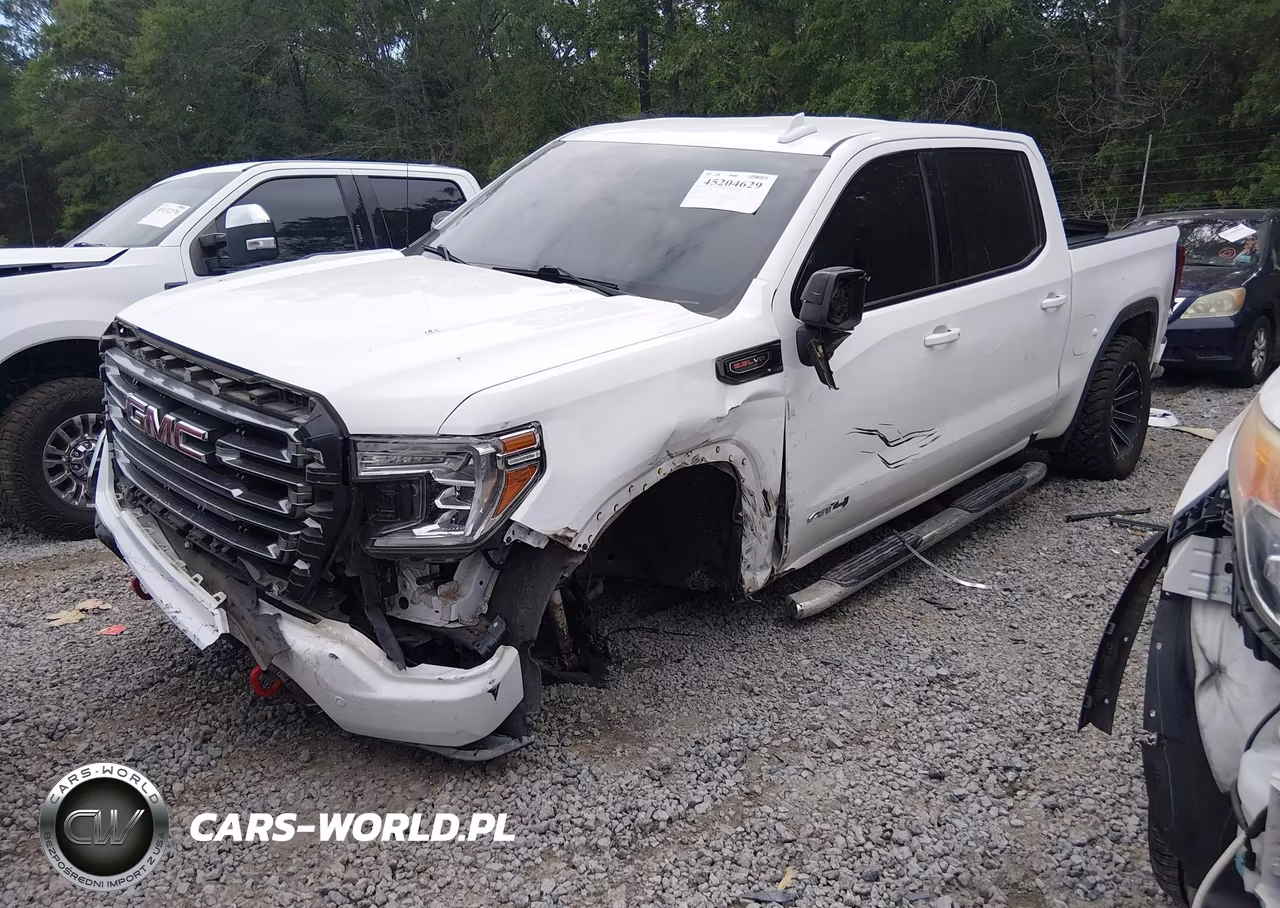 2020 GMC Sierra 1500 4Wd Short Box At4 VIN:3GTP9EELXLG343550 - 2