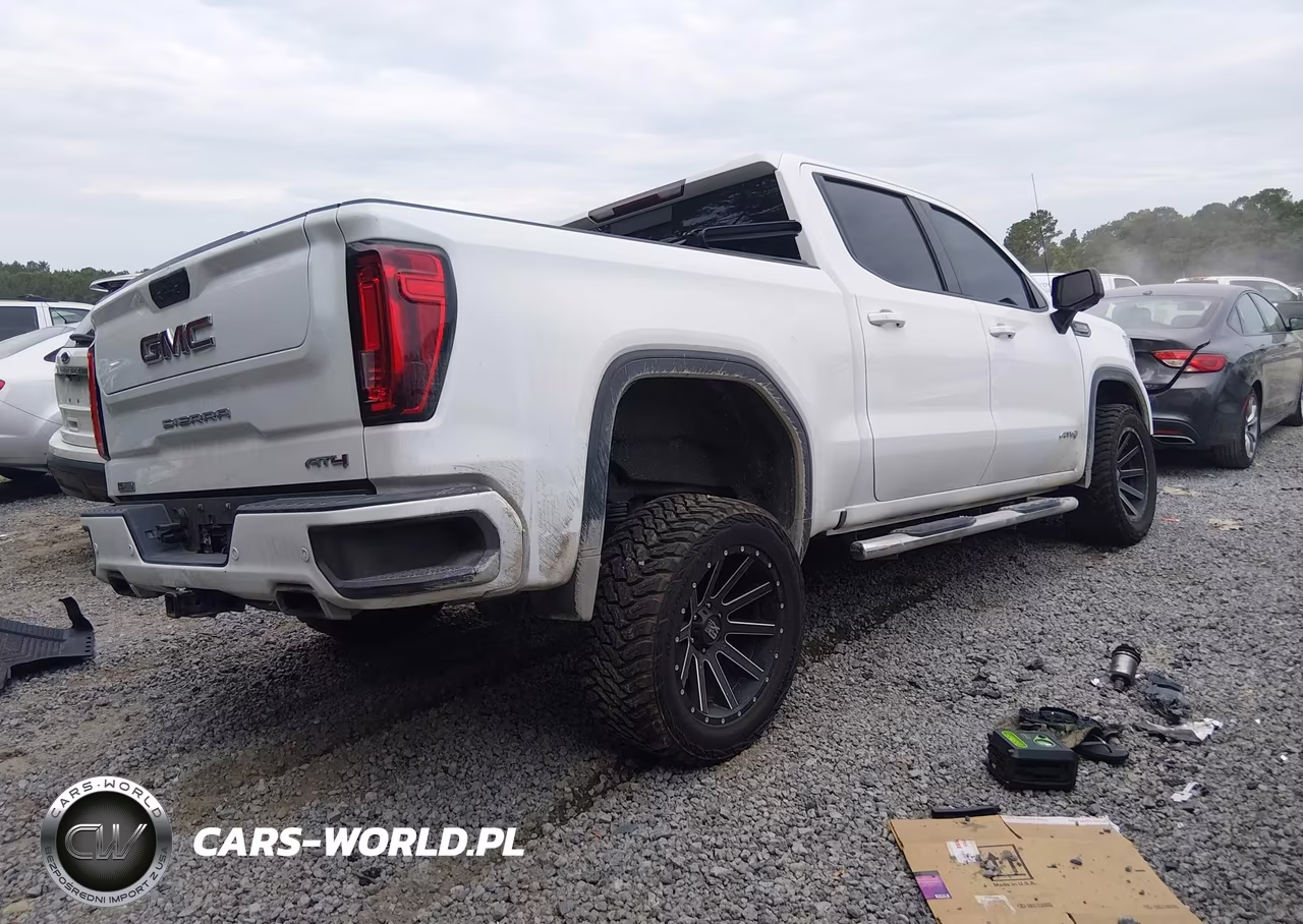 2020 GMC Sierra 1500 4Wd Short Box At4 VIN:3GTP9EELXLG343550 - 4
