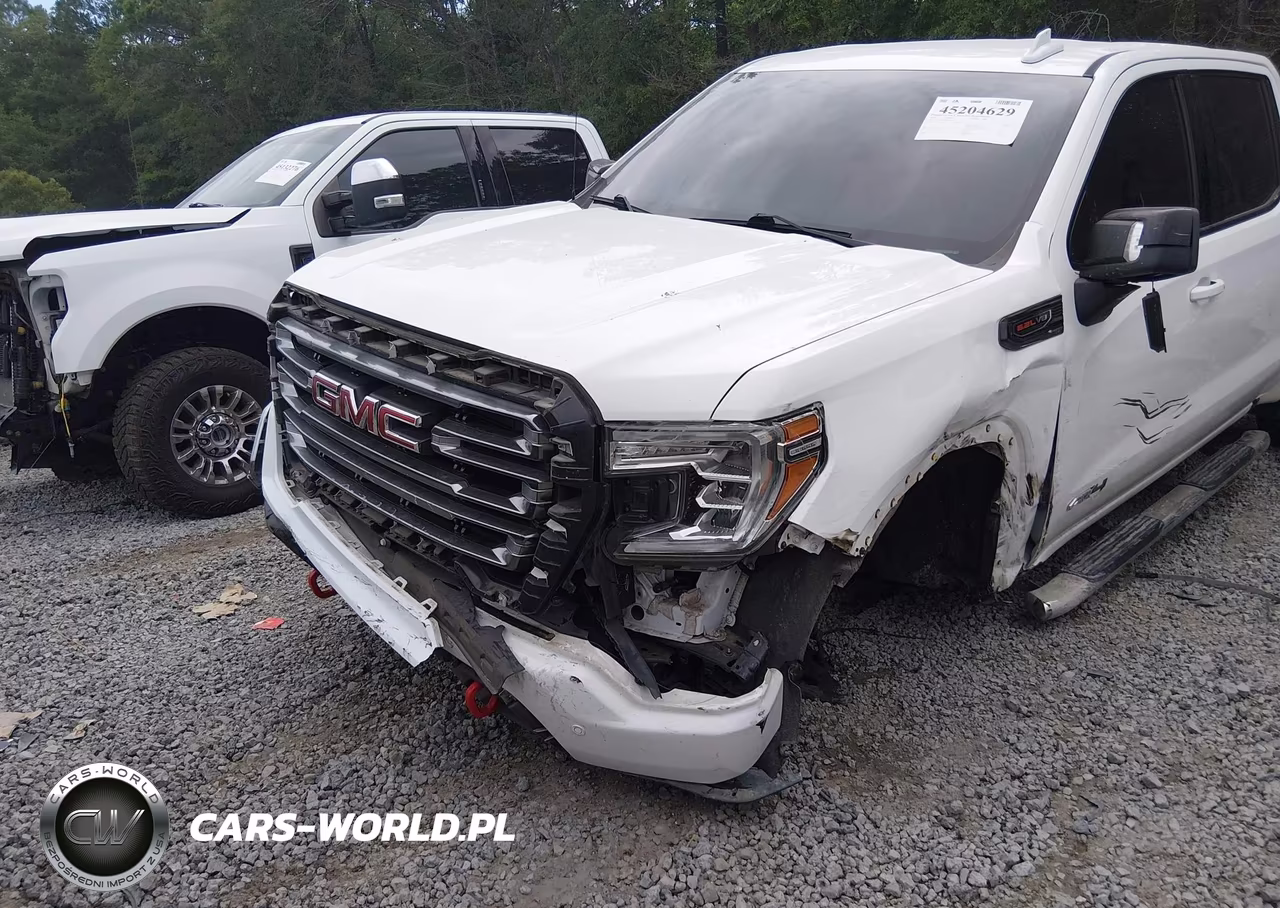 2020 GMC Sierra 1500 4Wd Short Box At4 VIN:3GTP9EELXLG343550 - 6