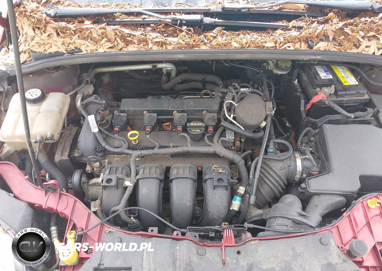 2013 Ford Focus Se VIN:1FADP3F27DL230295 - 10