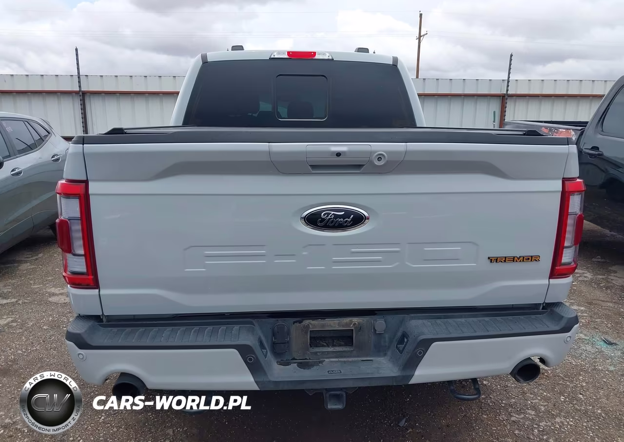 2023 Ford F-150 Tremor VIN:1FTEW1E82PFB66410 - 17