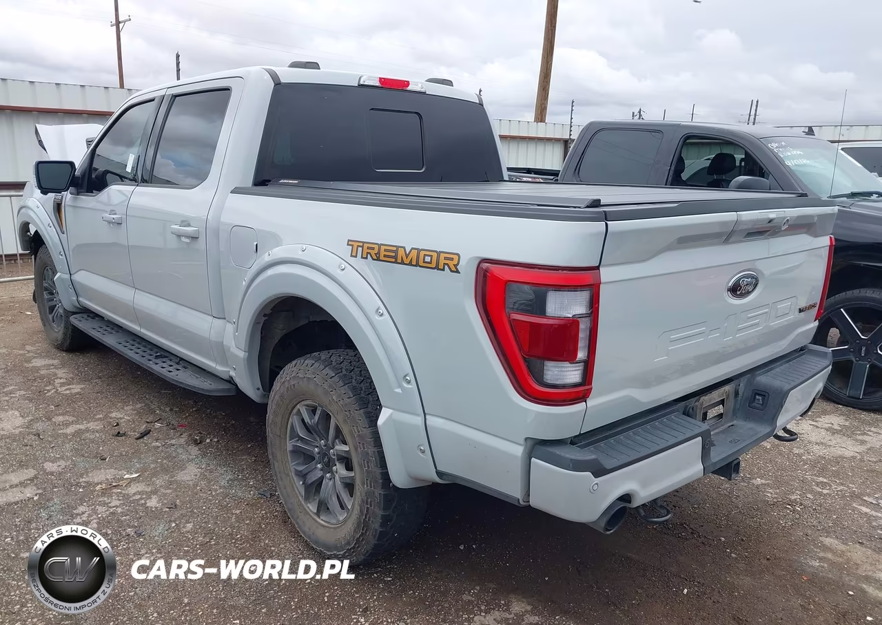 2023 Ford F-150 Tremor VIN:1FTEW1E82PFB66410 - 3