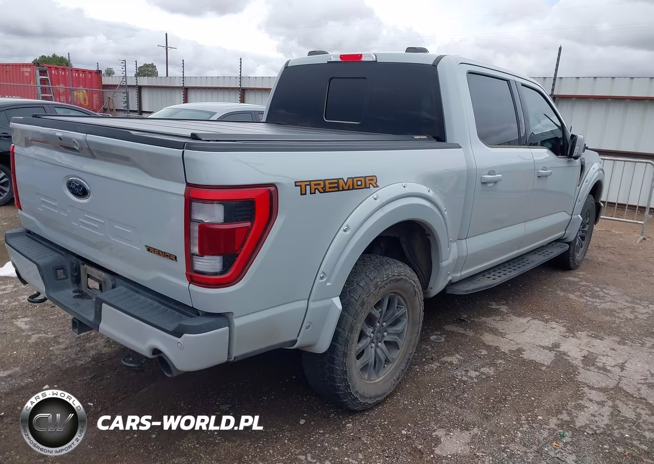 2023 Ford F-150 Tremor VIN:1FTEW1E82PFB66410 - 4