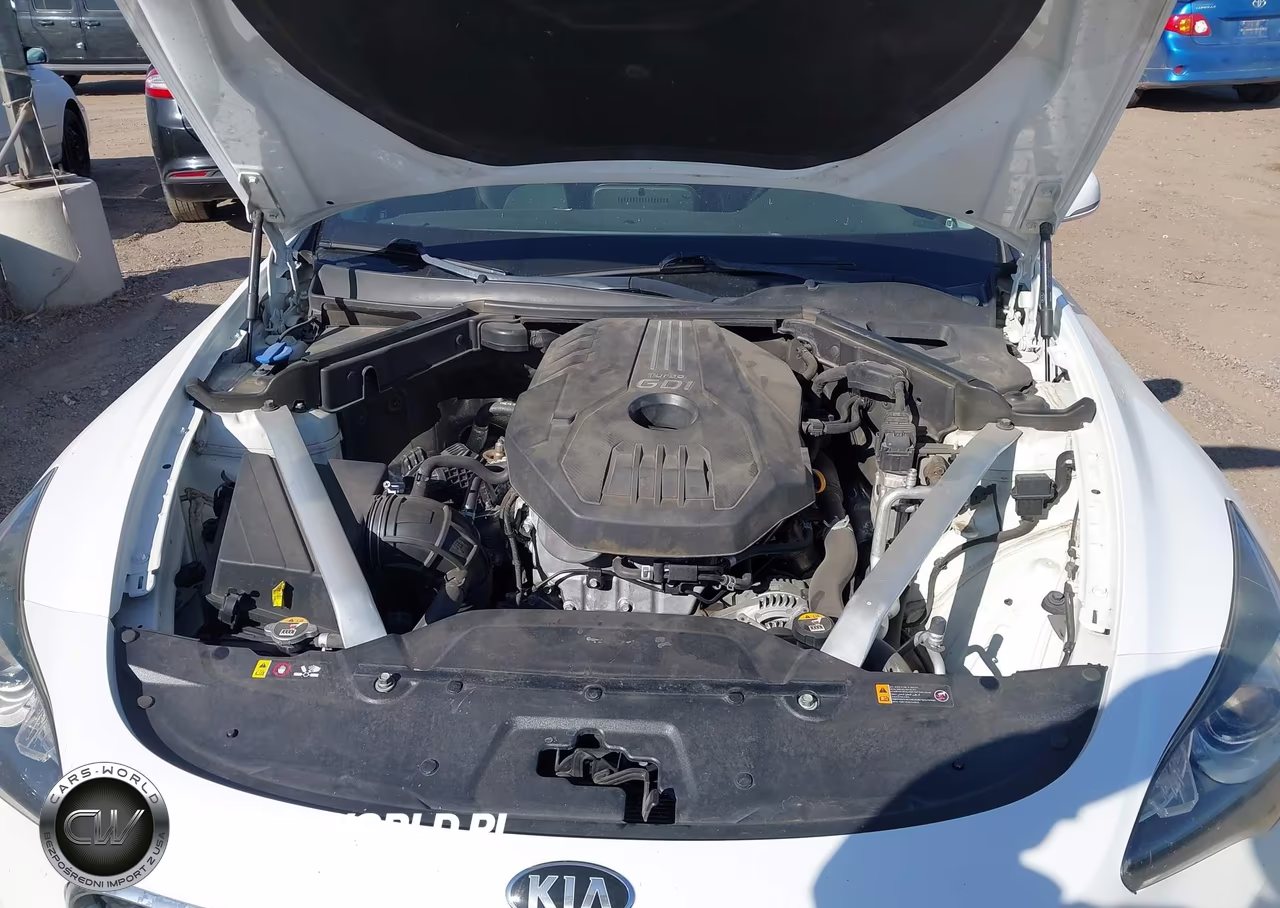 2019 Kia Stinger VIN:KNAE15LA9K6066144 - 10