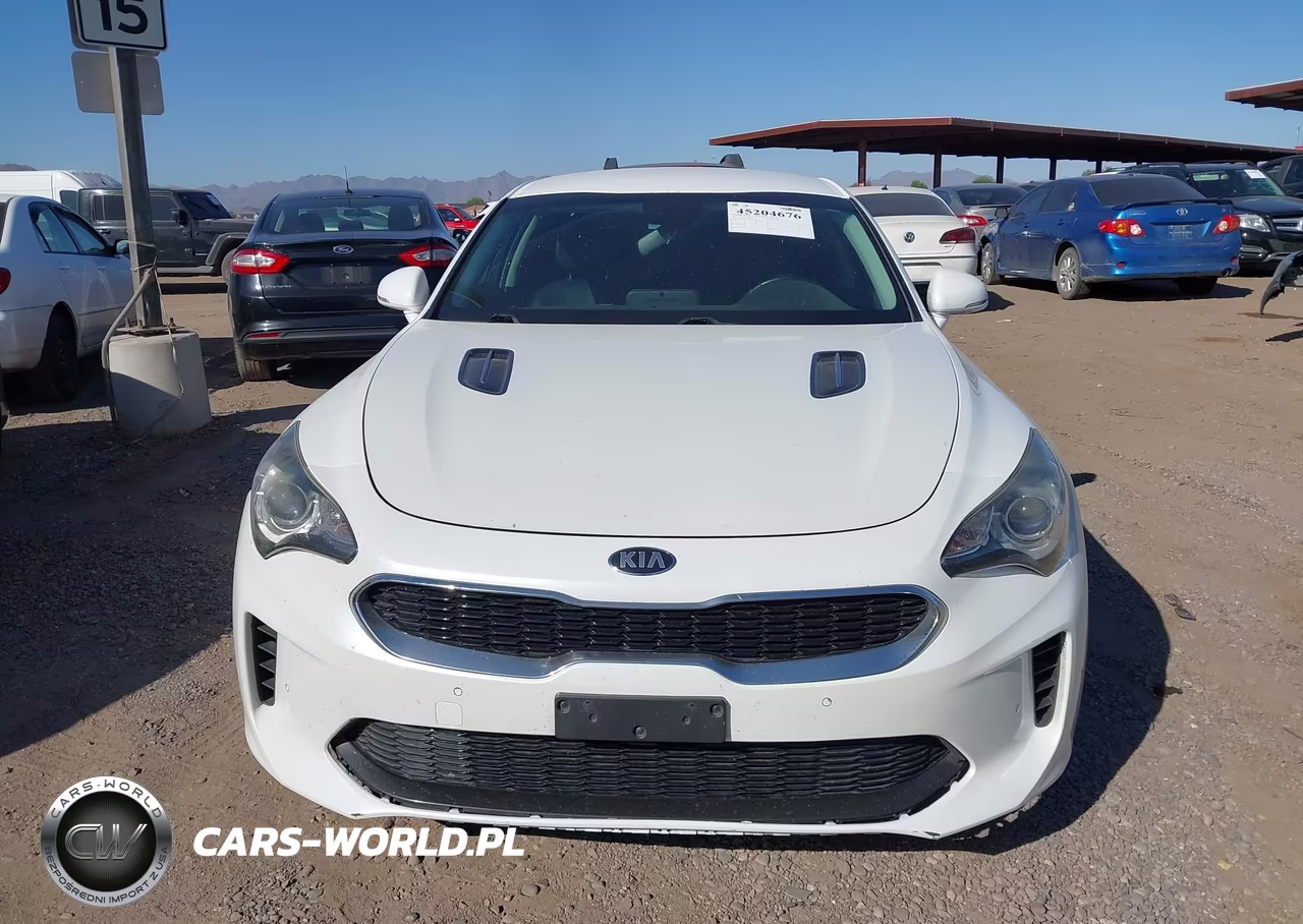 2019 Kia Stinger VIN:KNAE15LA9K6066144 - 12