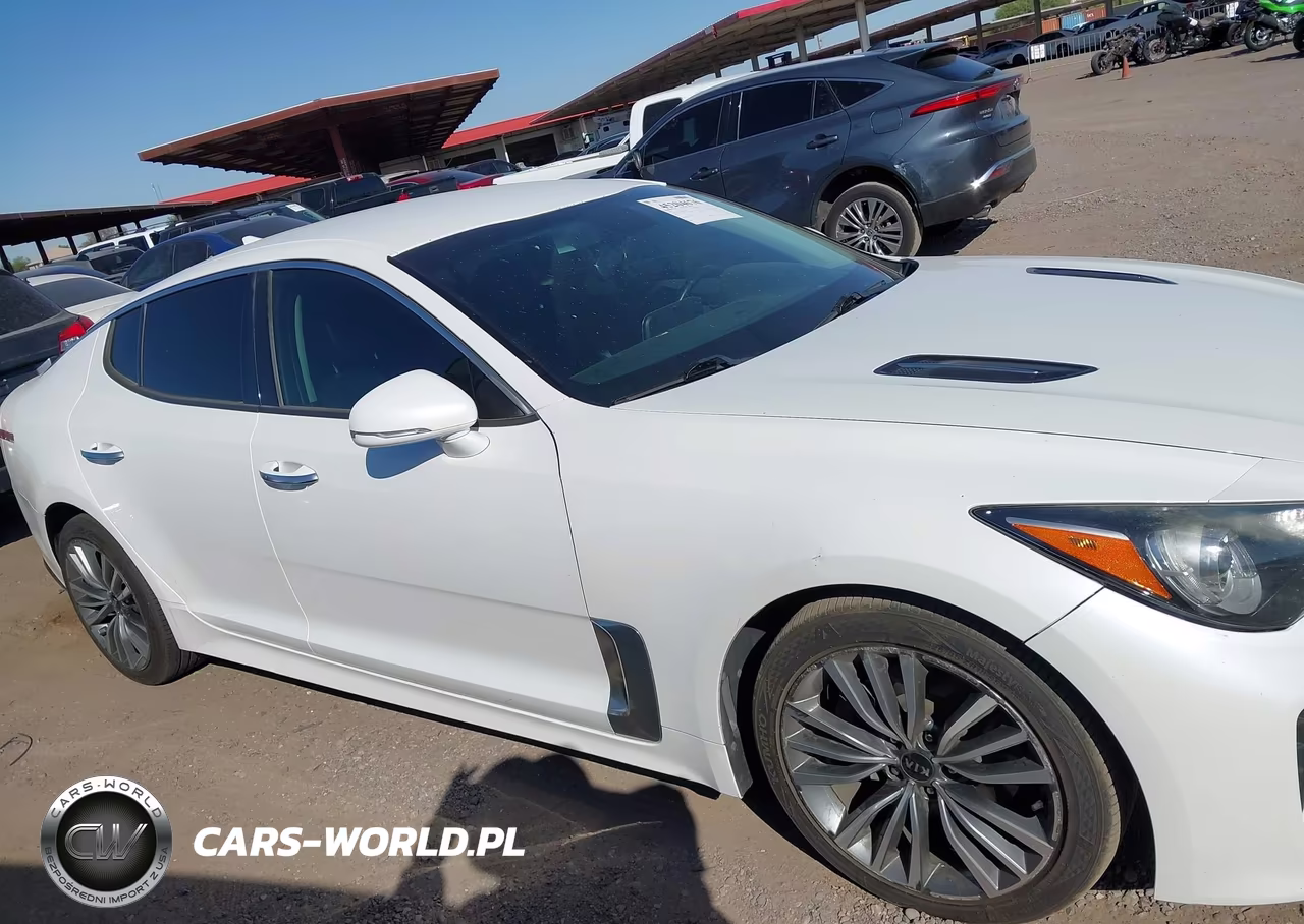 2019 Kia Stinger VIN:KNAE15LA9K6066144 - 13