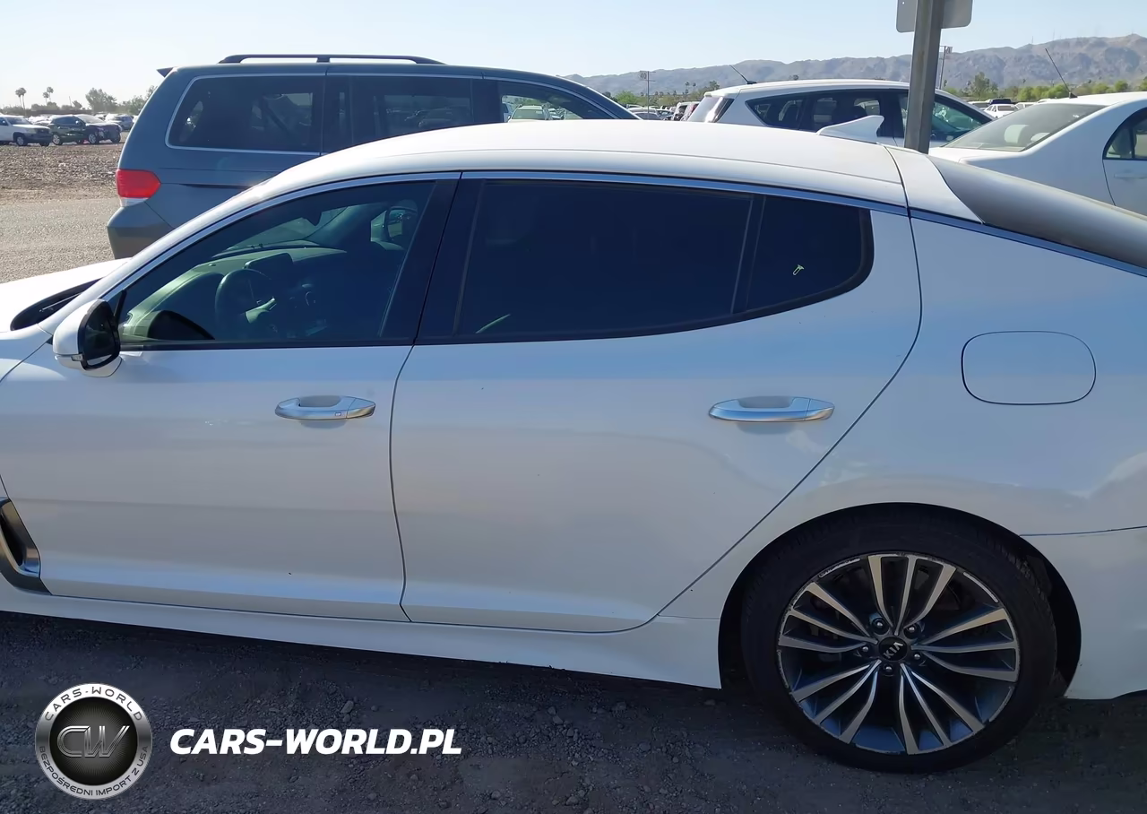 2019 Kia Stinger VIN:KNAE15LA9K6066144 - 14