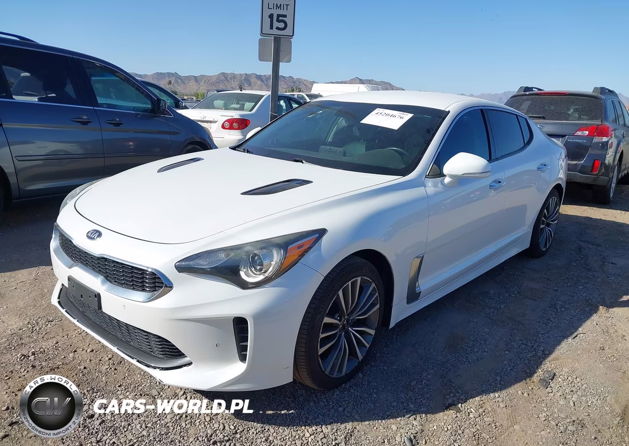 2019 Kia Stinger VIN:KNAE15LA9K6066144 - 2