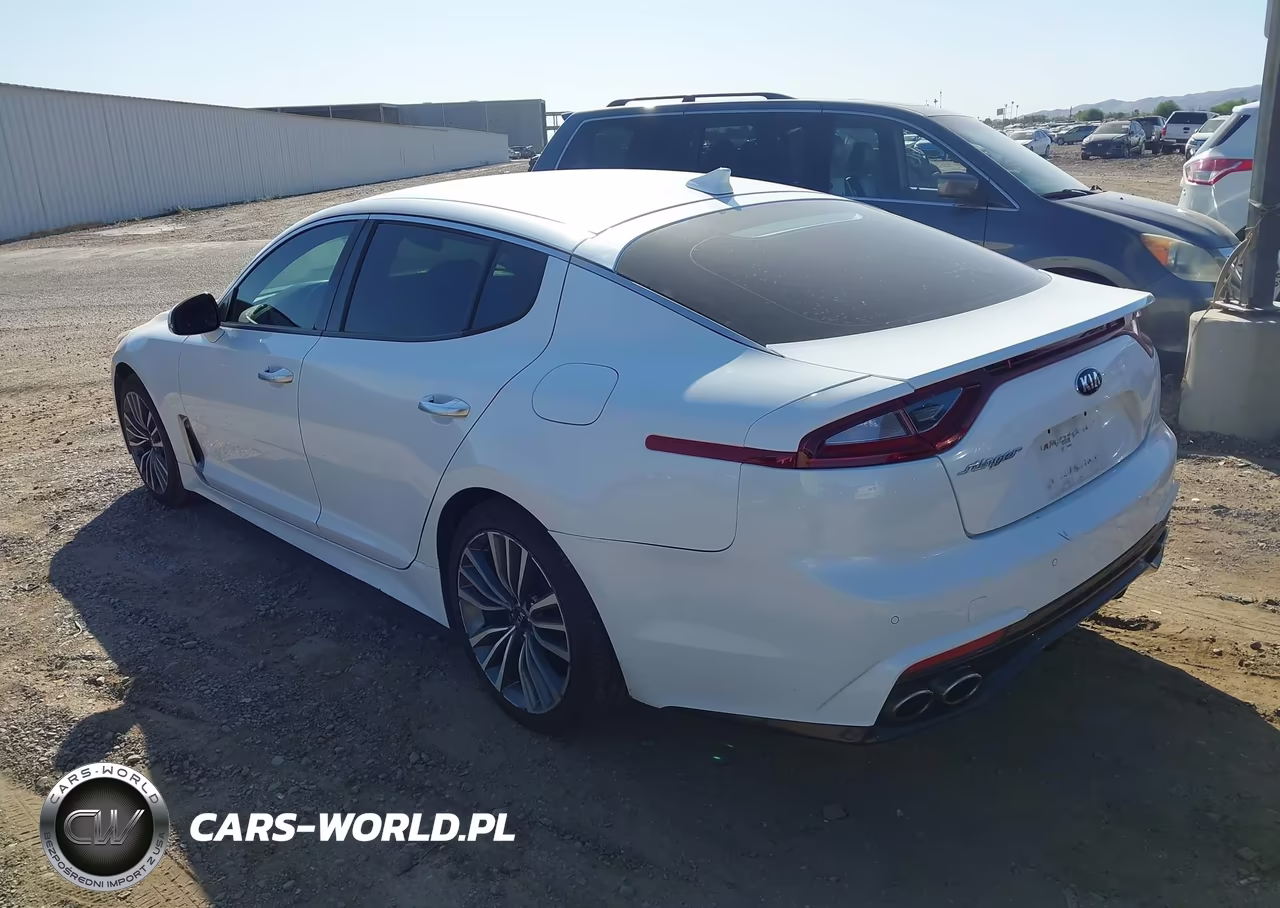 2019 Kia Stinger VIN:KNAE15LA9K6066144 - 3