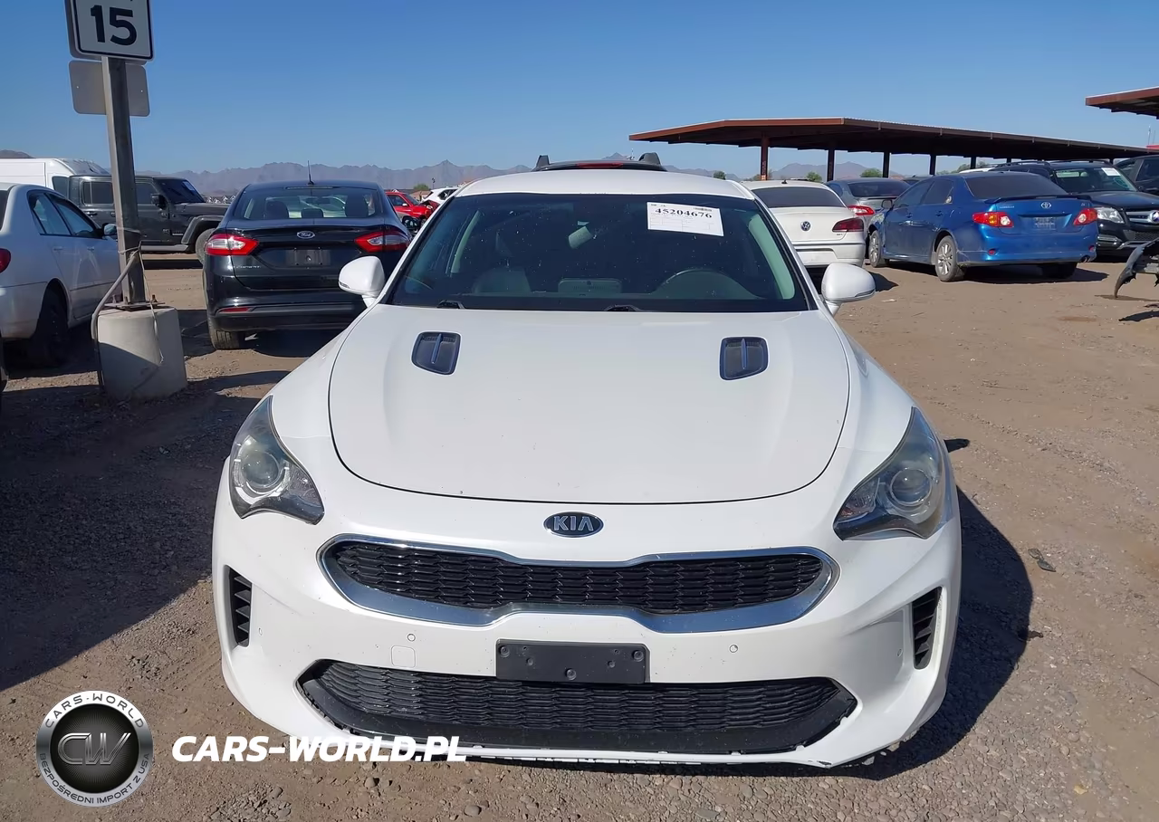 2019 Kia Stinger VIN:KNAE15LA9K6066144 - 6