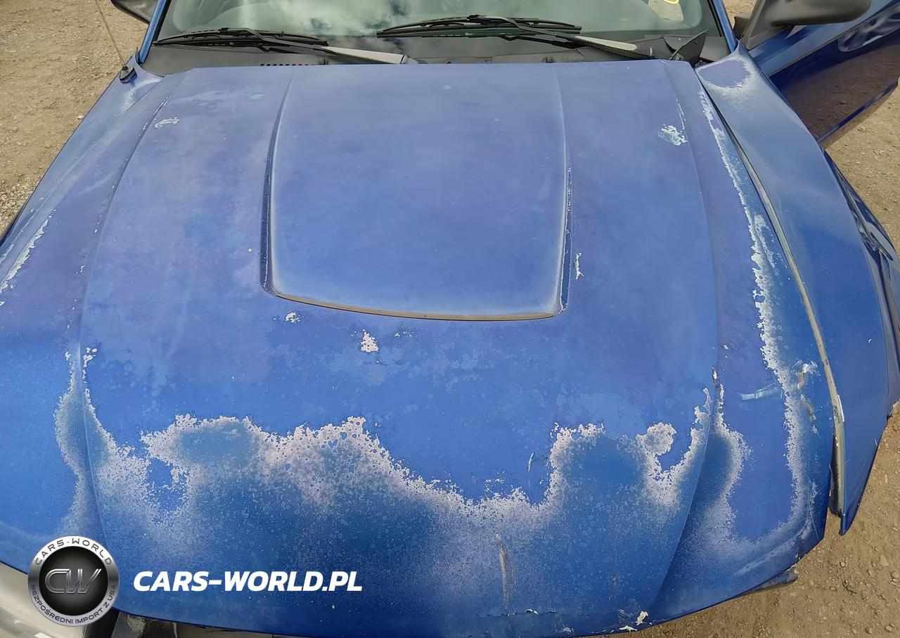 2004 Ford Mustang VIN:1FAFP40604F168019 - 10