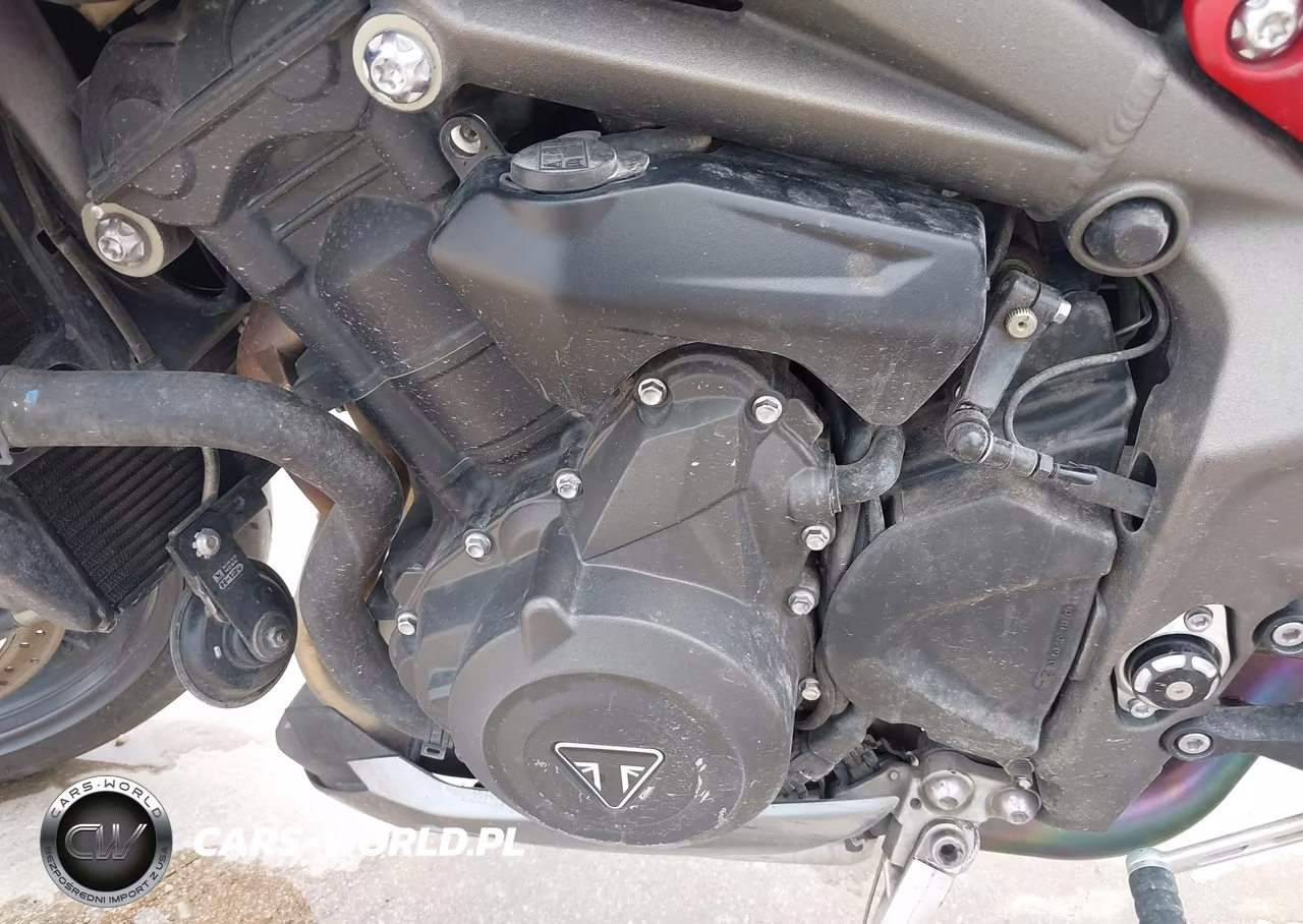 2022 Triumph Motorcycle Street Triple Rs VIN:SMTA554SXNTAY9293 - 9