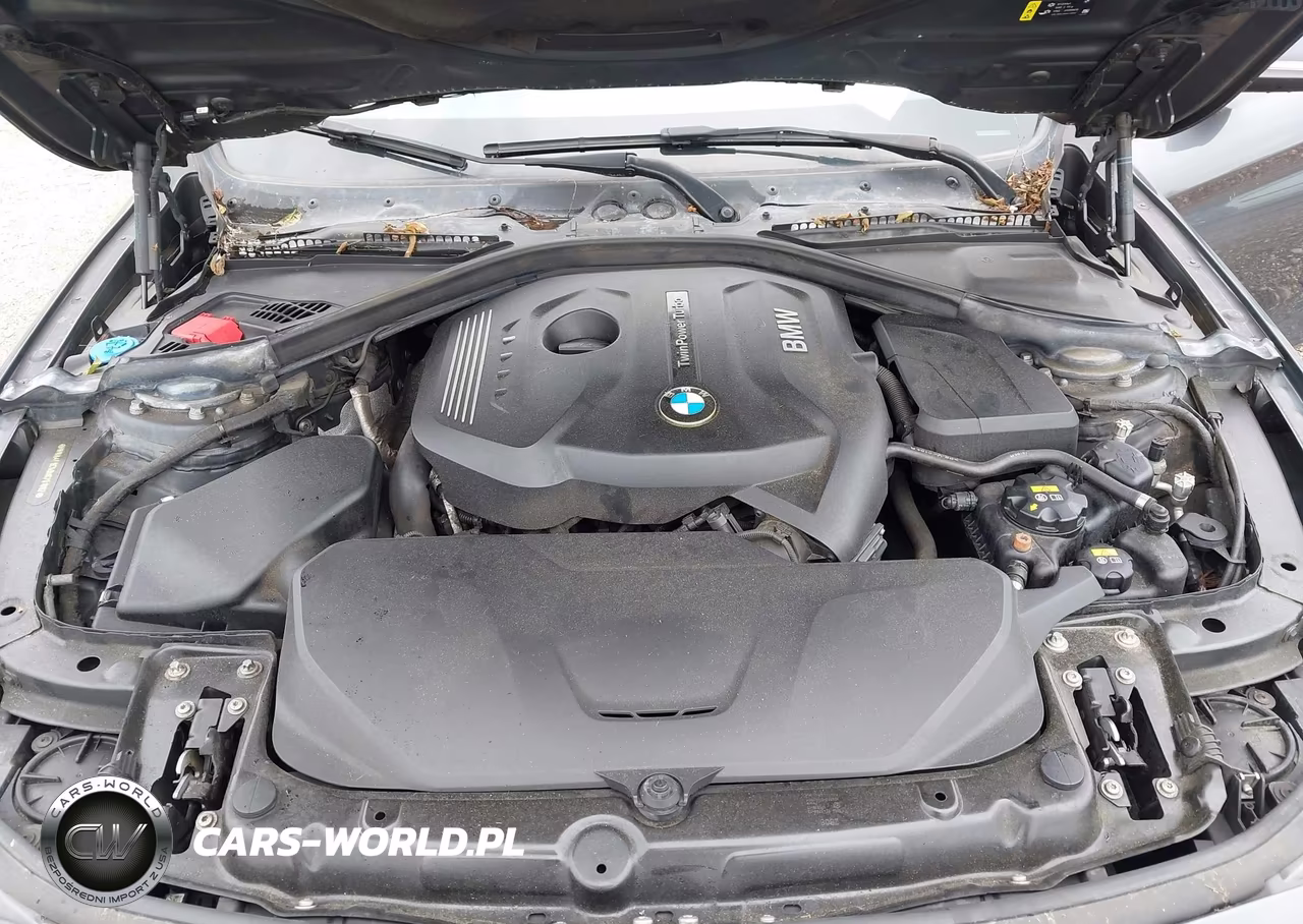 2017 BMW 430I Gran Coupe xDrive VIN:WBA4F9C50HG791867 - 10