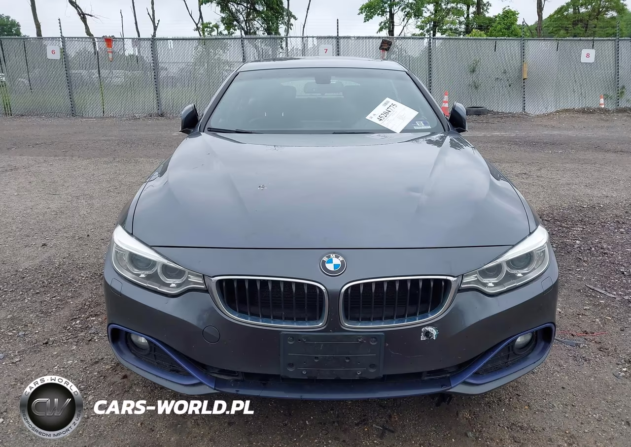 2017 BMW 430I Gran Coupe xDrive VIN:WBA4F9C50HG791867 - 12
