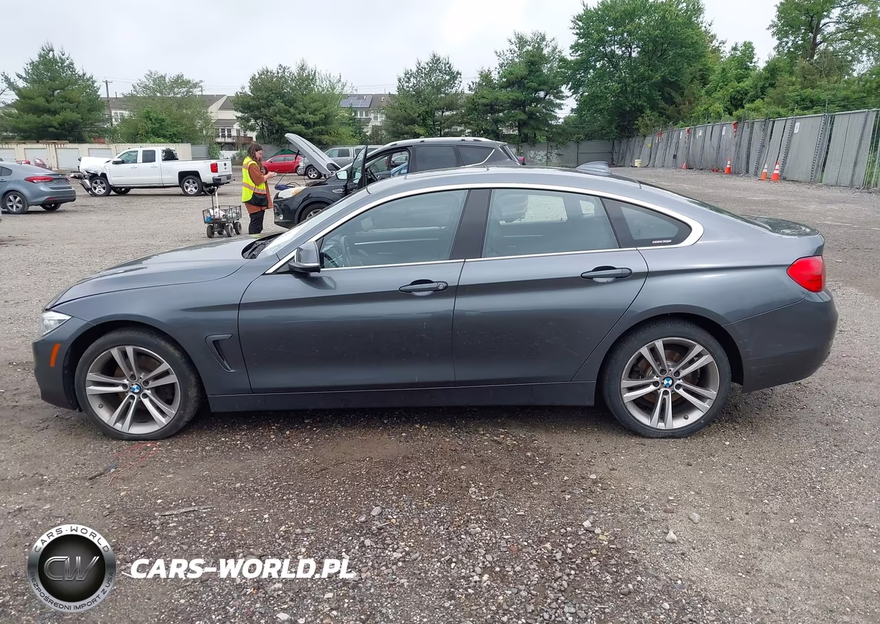 2017 BMW 430I Gran Coupe xDrive VIN:WBA4F9C50HG791867 - 14
