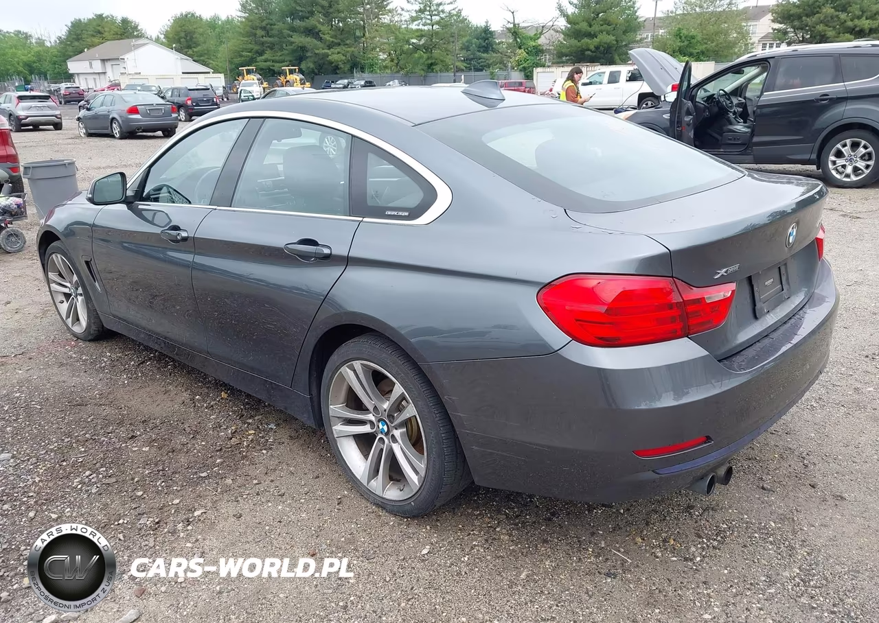 2017 BMW 430I Gran Coupe xDrive VIN:WBA4F9C50HG791867 - 3
