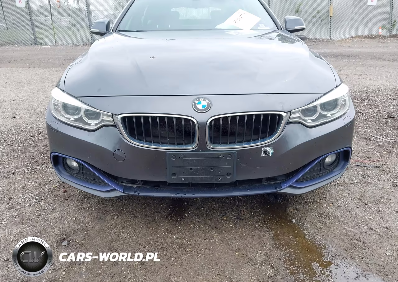 2017 BMW 430I Gran Coupe xDrive VIN:WBA4F9C50HG791867 - 6