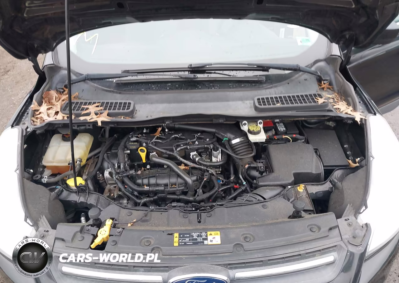 2013 Ford Escape Se VIN:1FMCU9GX5DUD90449 - 10