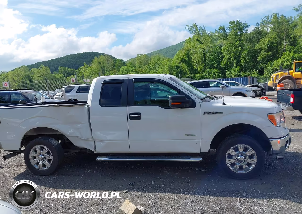2011 Ford F-150 Xlt VIN:1FTFX1CT0BFB28434 - 13