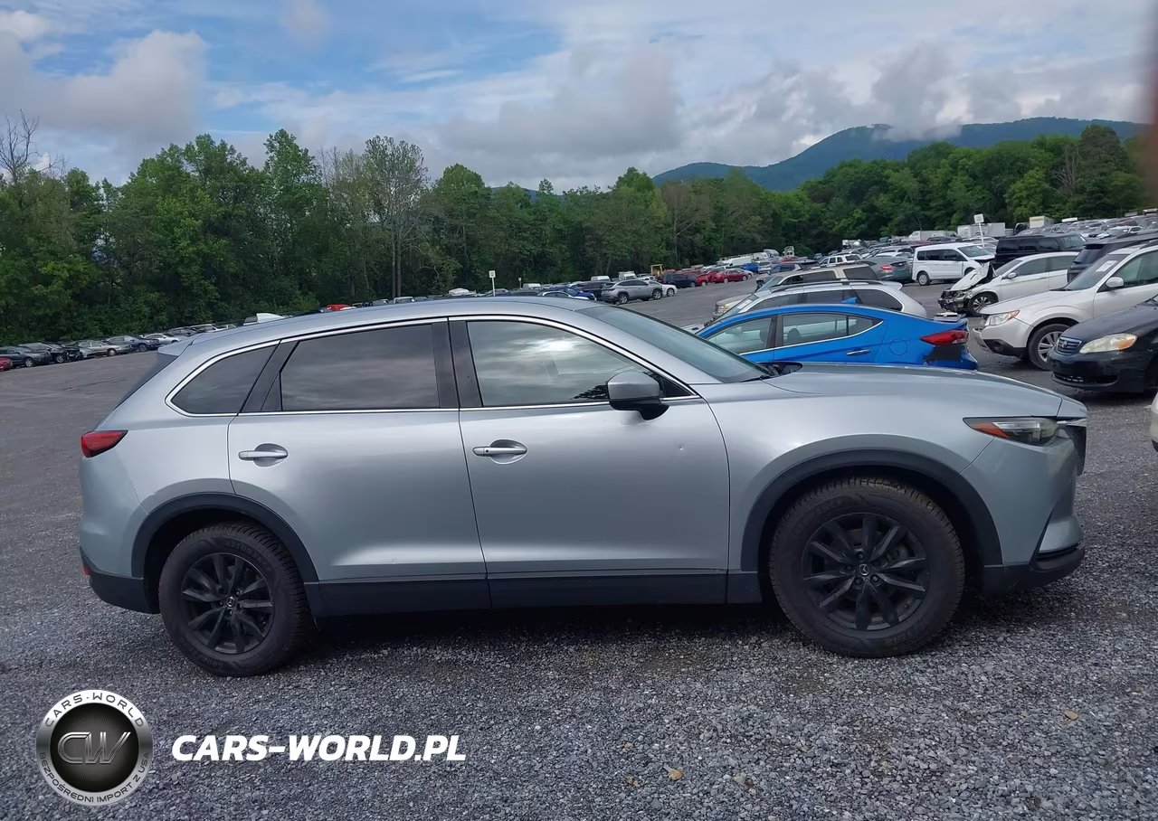 2016 Mazda Cx-9 Touring VIN:JM3TCBCY3G0100659 - 14