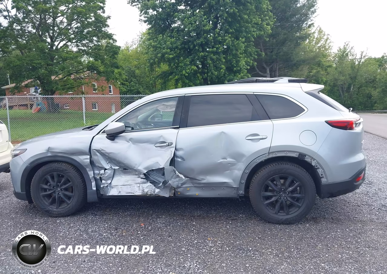 2016 Mazda Cx-9 Touring VIN:JM3TCBCY3G0100659 - 15