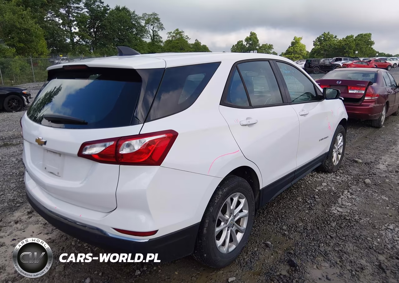 2018 Chevrolet Equinox Ls VIN:2GNAXHEV2J6226964 - 4