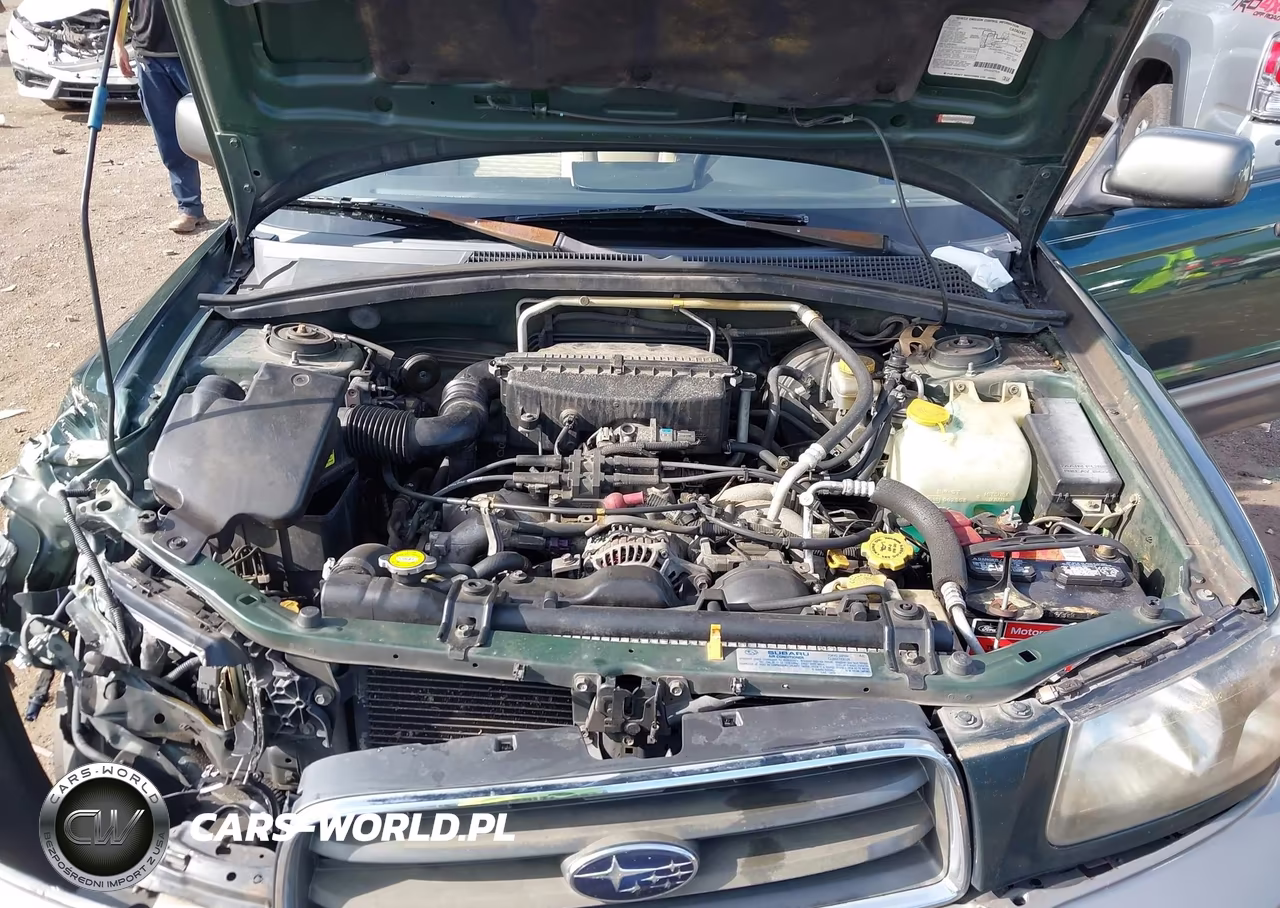 2003 Subaru Forester Xs VIN:JF1SG65693H756104 - 10