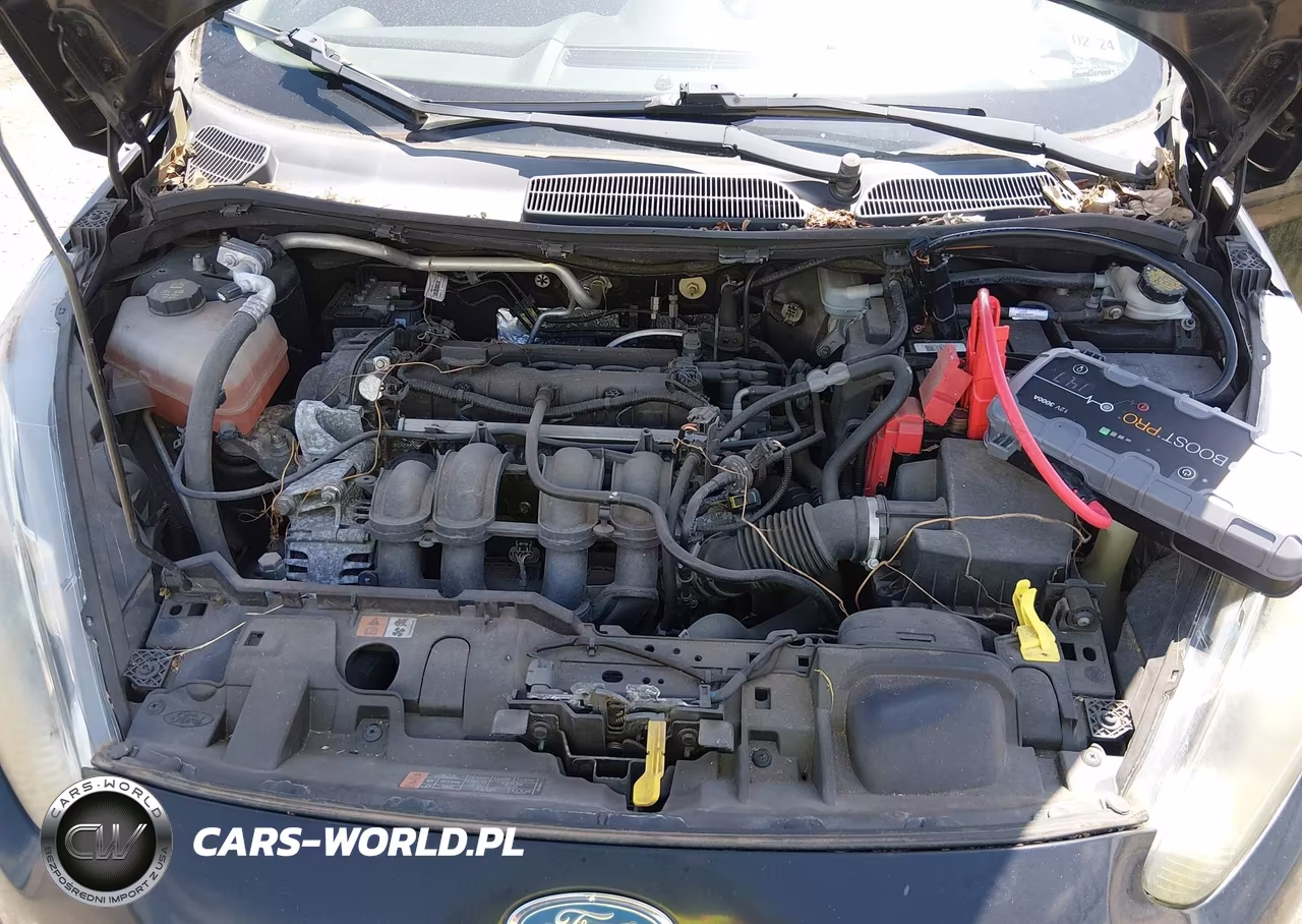 2016 Ford Fiesta Se VIN:3FADP4EJ1GM136804 - 10