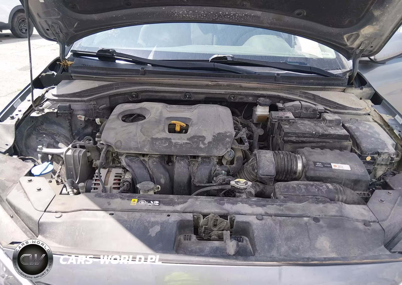 2019 Hyundai Elantra Sel VIN:KMHD84LF5KU769098 - 10