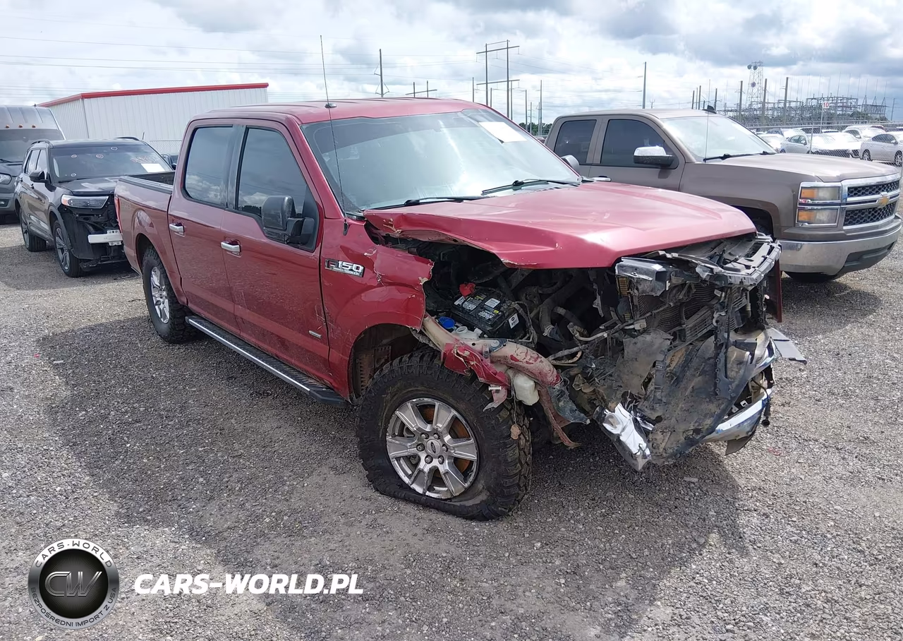 2015 Ford F-150 Xlt VIN:1FTEW1EP9FKE41493 - 1