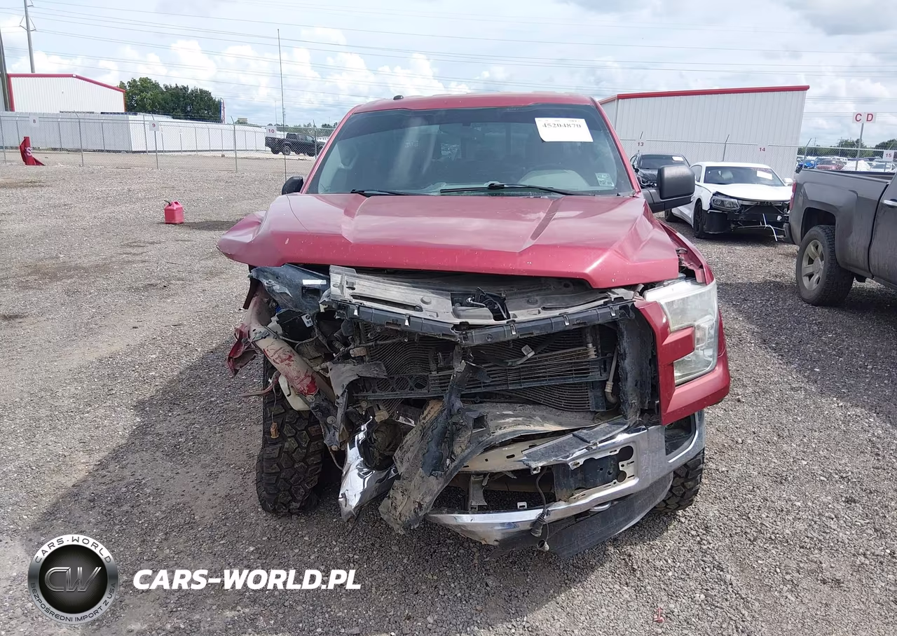 2015 Ford F-150 Xlt VIN:1FTEW1EP9FKE41493 - 12