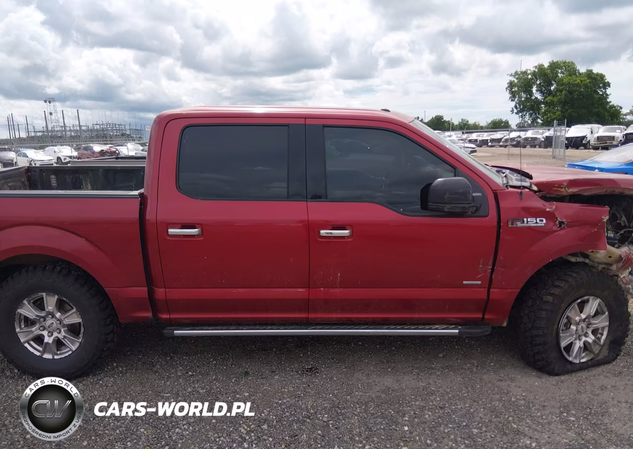2015 Ford F-150 Xlt VIN:1FTEW1EP9FKE41493 - 13