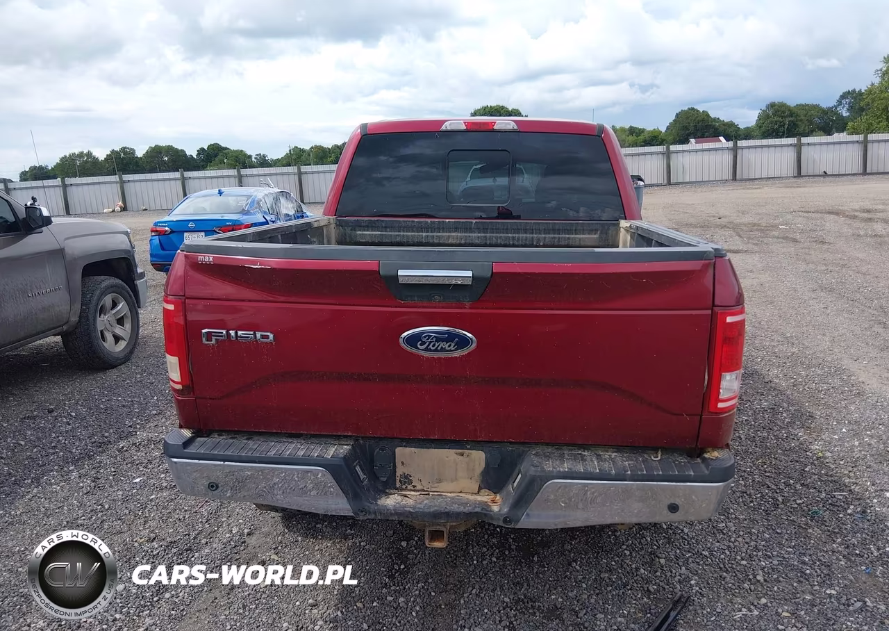 2015 Ford F-150 Xlt VIN:1FTEW1EP9FKE41493 - 16