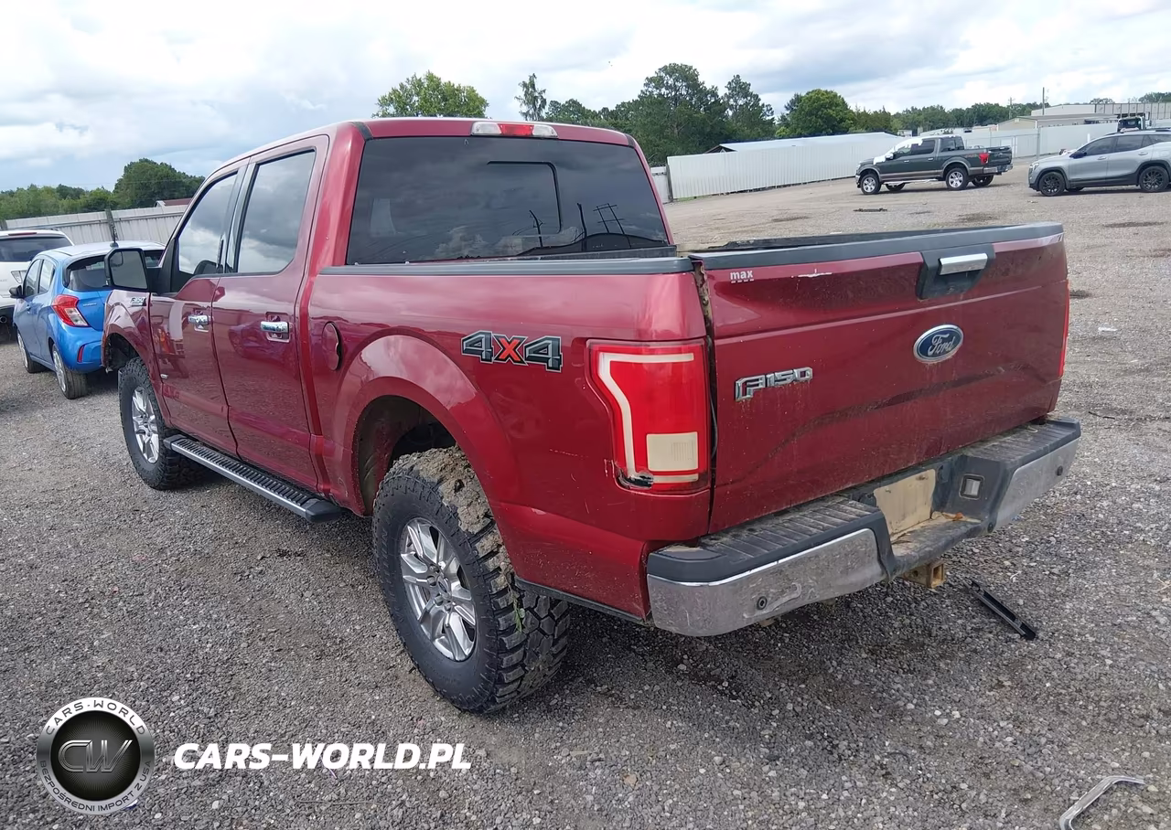2015 Ford F-150 Xlt VIN:1FTEW1EP9FKE41493 - 3