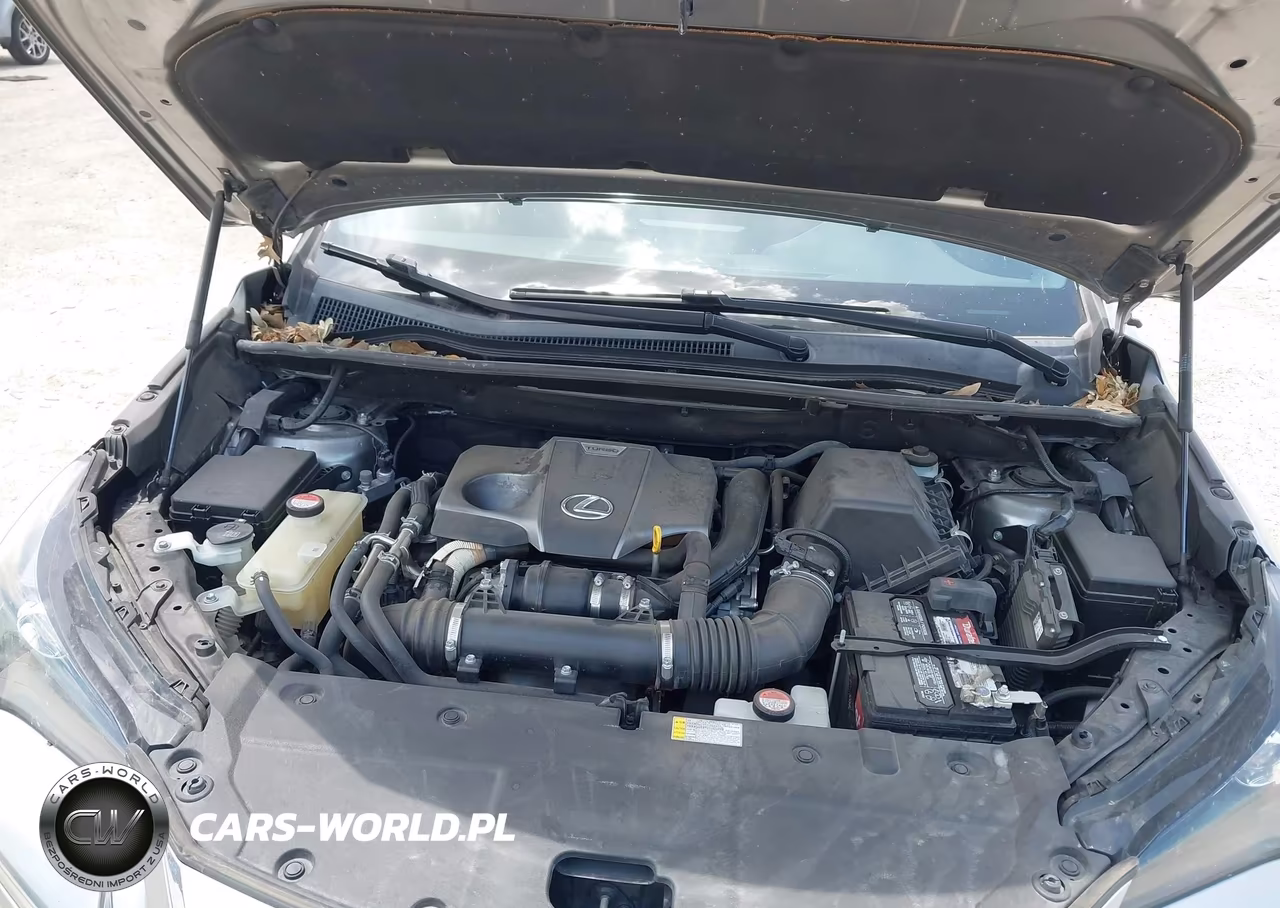 2016 Lexus Nx 200T F Sport VIN:JTJBARBZ7G2066109 - 10