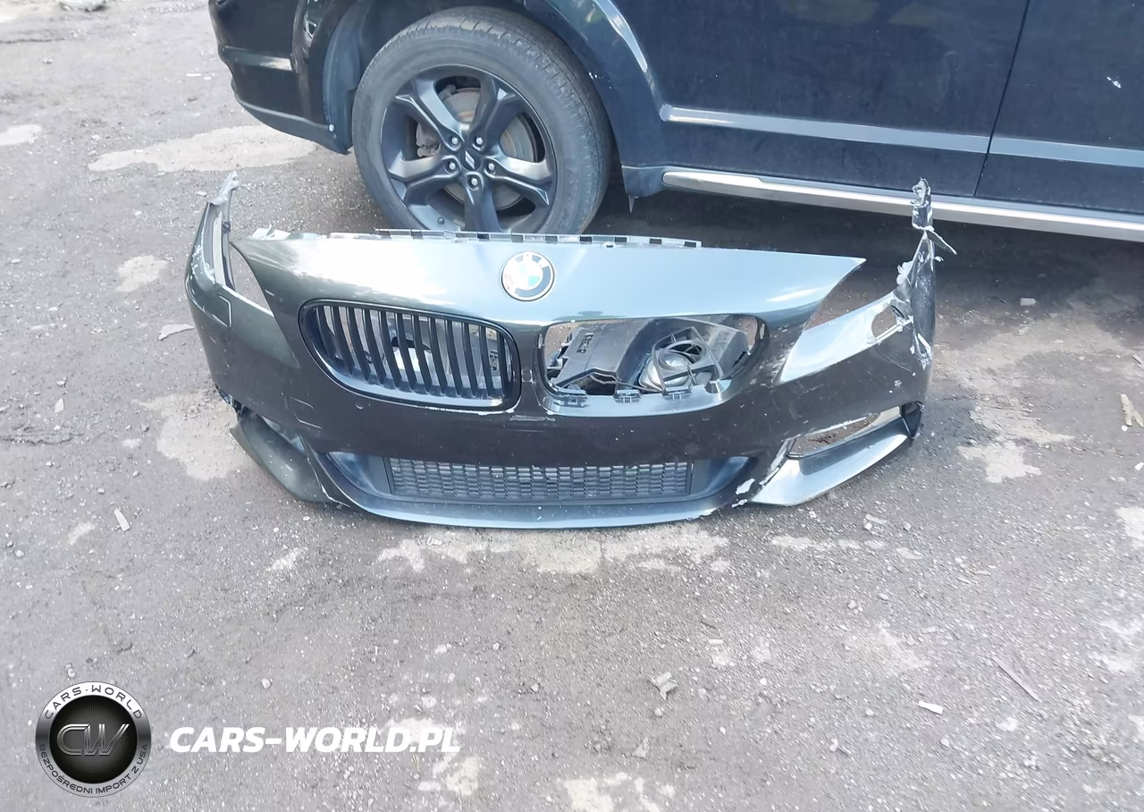 2015 BMW 528I xDrive VIN:WBA5A7C53FD624912 - 12