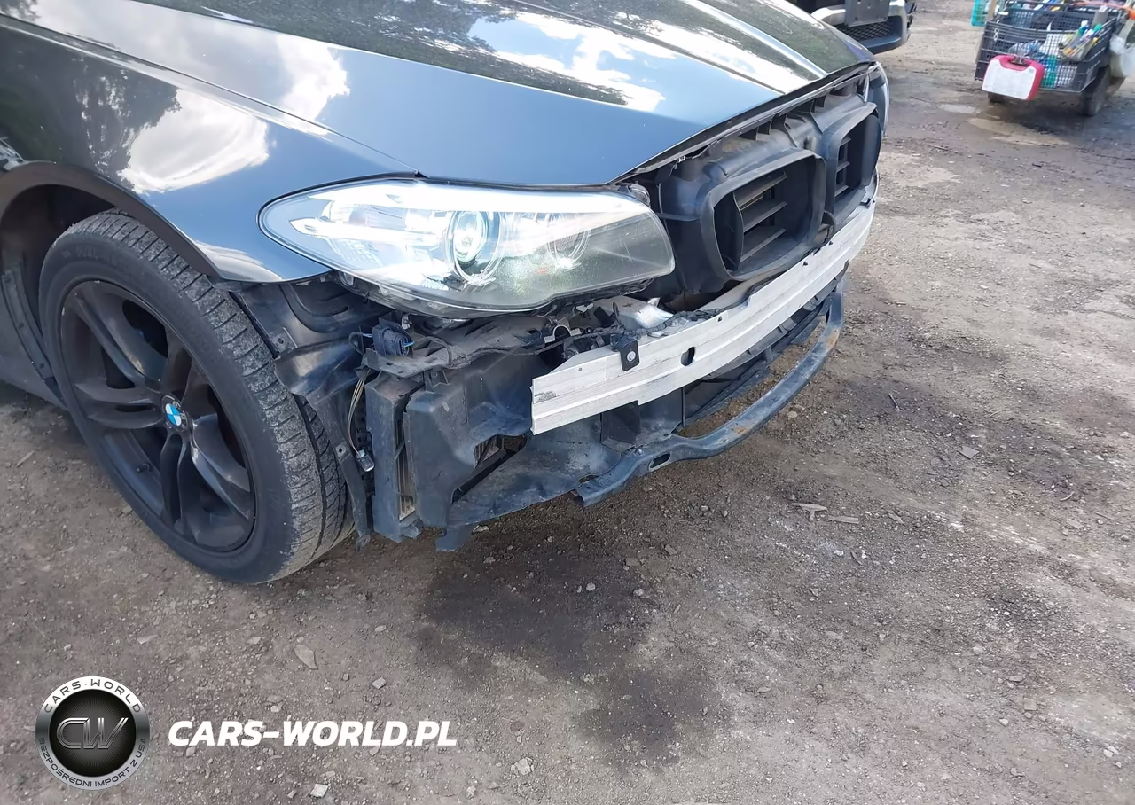 2015 BMW 528I xDrive VIN:WBA5A7C53FD624912 - 18