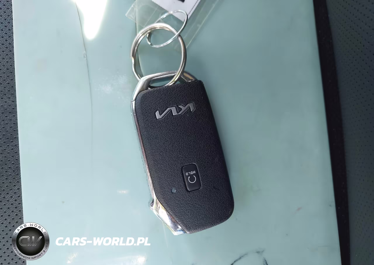 2022 Kia Telluride Lx VIN:5XYP2DHC0NG297917 - 11