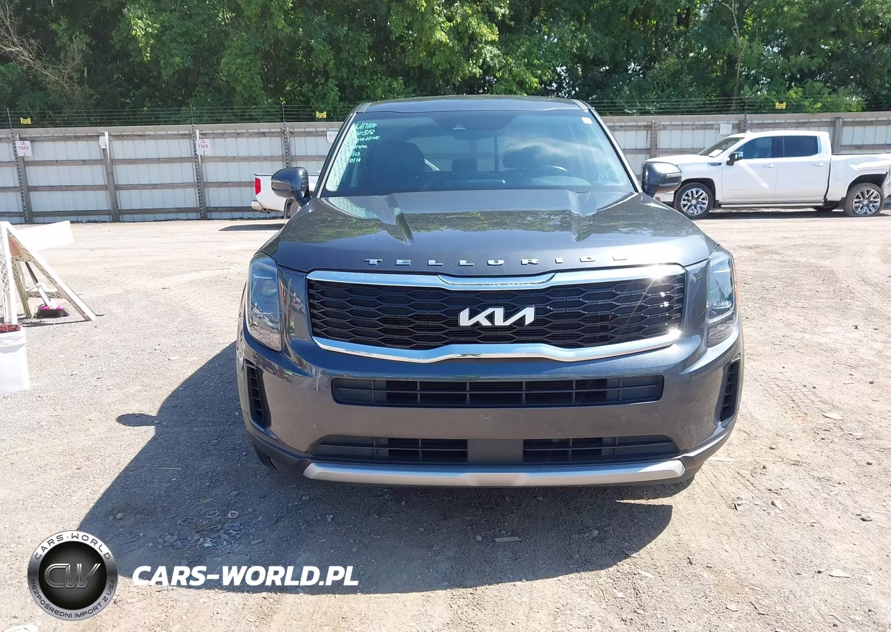2022 Kia Telluride Lx VIN:5XYP2DHC0NG297917 - 12