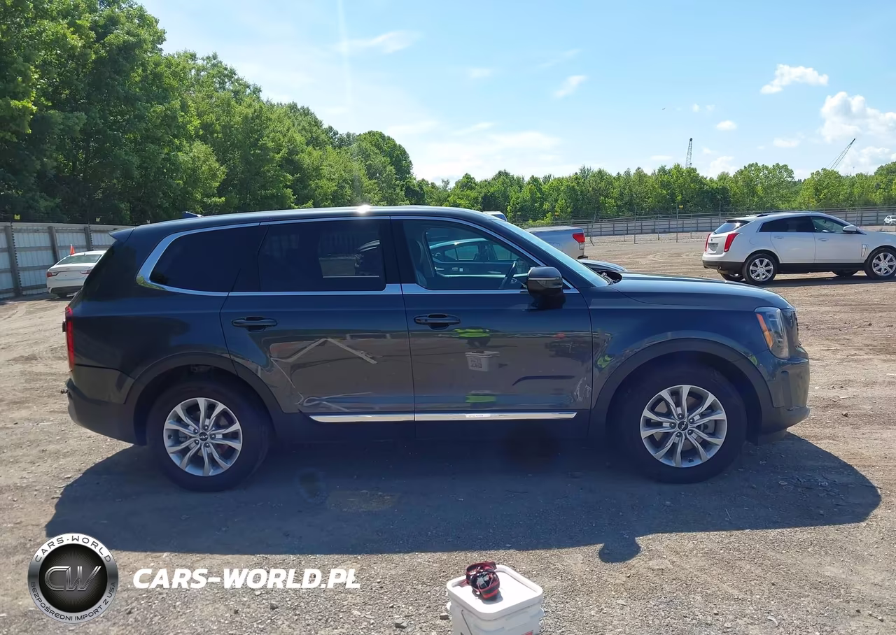 2022 Kia Telluride Lx VIN:5XYP2DHC0NG297917 - 13