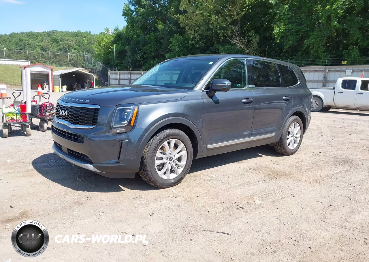 2022 Kia Telluride Lx VIN:5XYP2DHC0NG297917 - 2