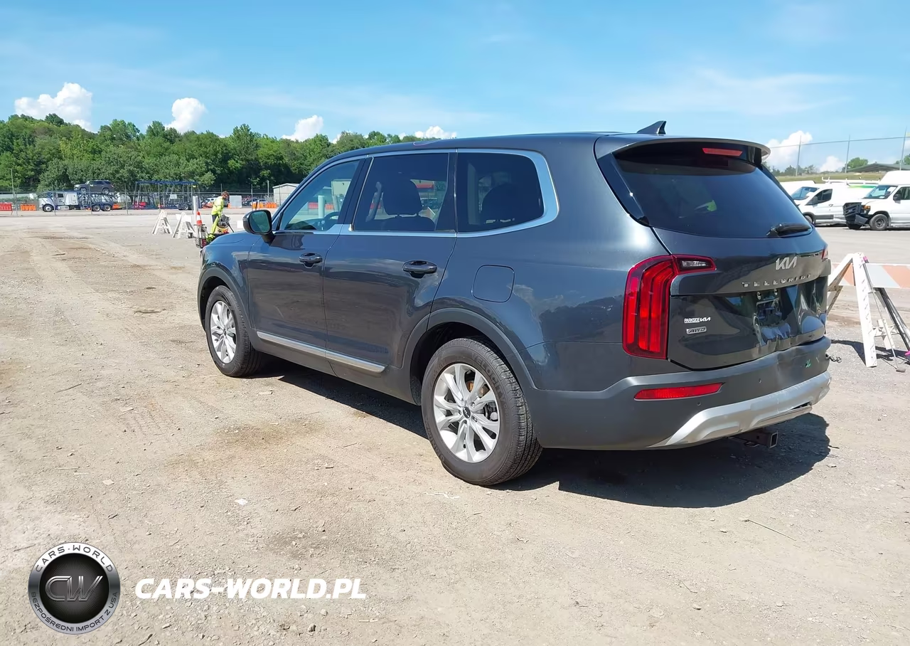 2022 Kia Telluride Lx VIN:5XYP2DHC0NG297917 - 3