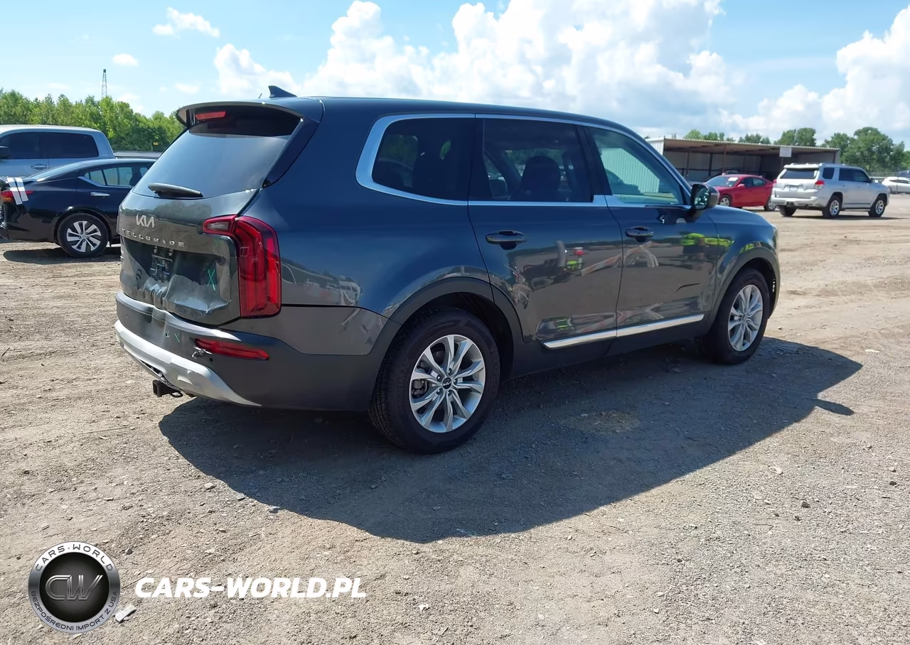 2022 Kia Telluride Lx VIN:5XYP2DHC0NG297917 - 4